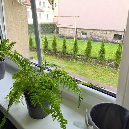 Apartament Przy Rondzie Клодзько Екстер'єр фото
